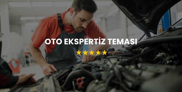 Oto Ekspertiz Teması