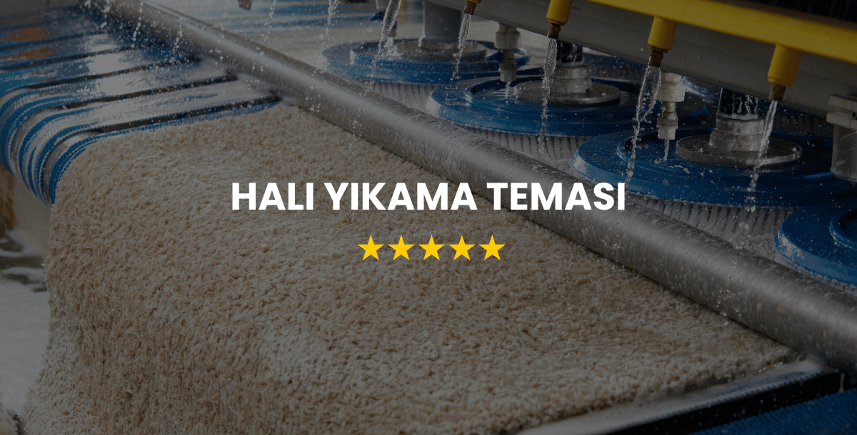 Halı Yıkama Teması