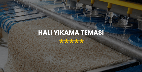 Halı Yıkama Teması